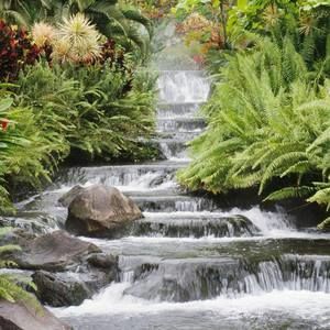 Meet your Posher, Tesfaye